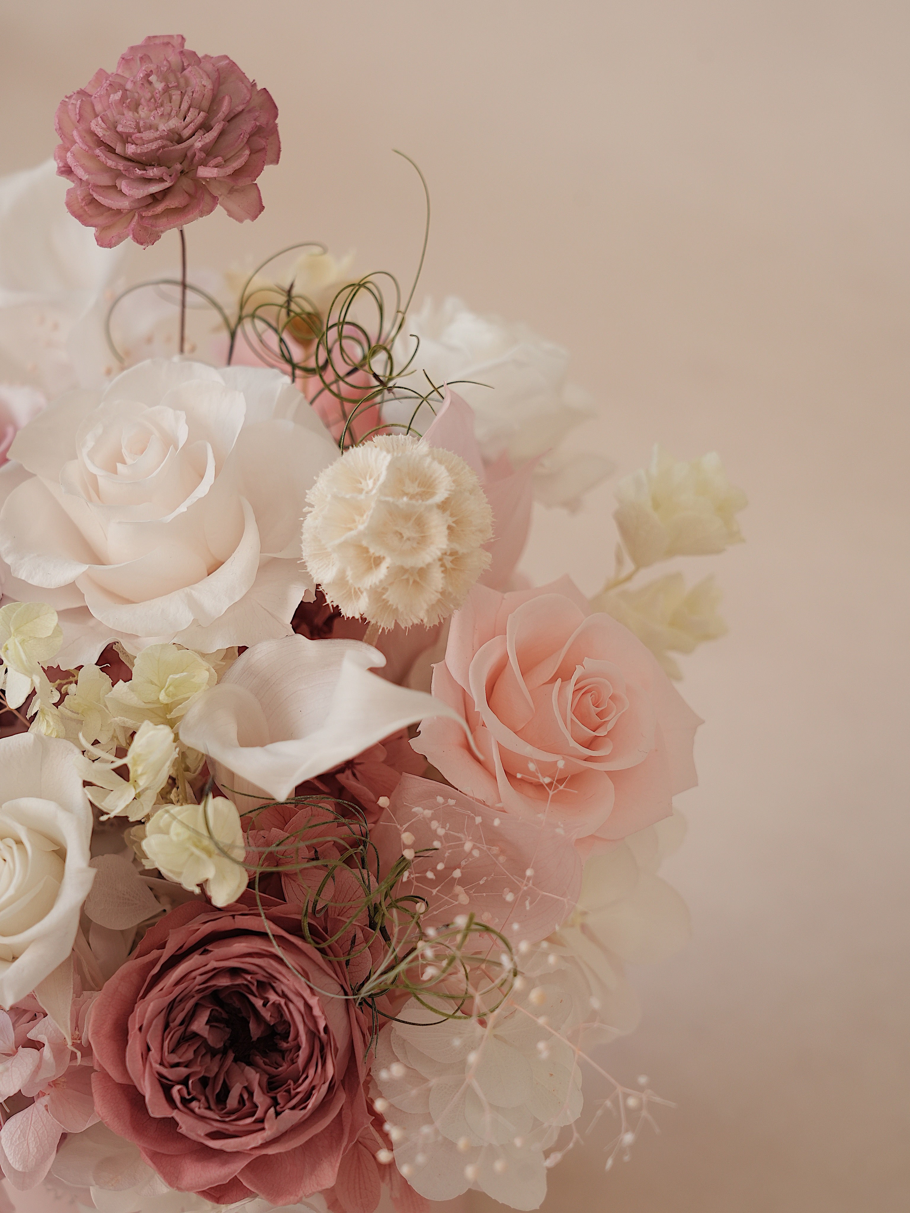 Signature JP100 — Whispered Blush