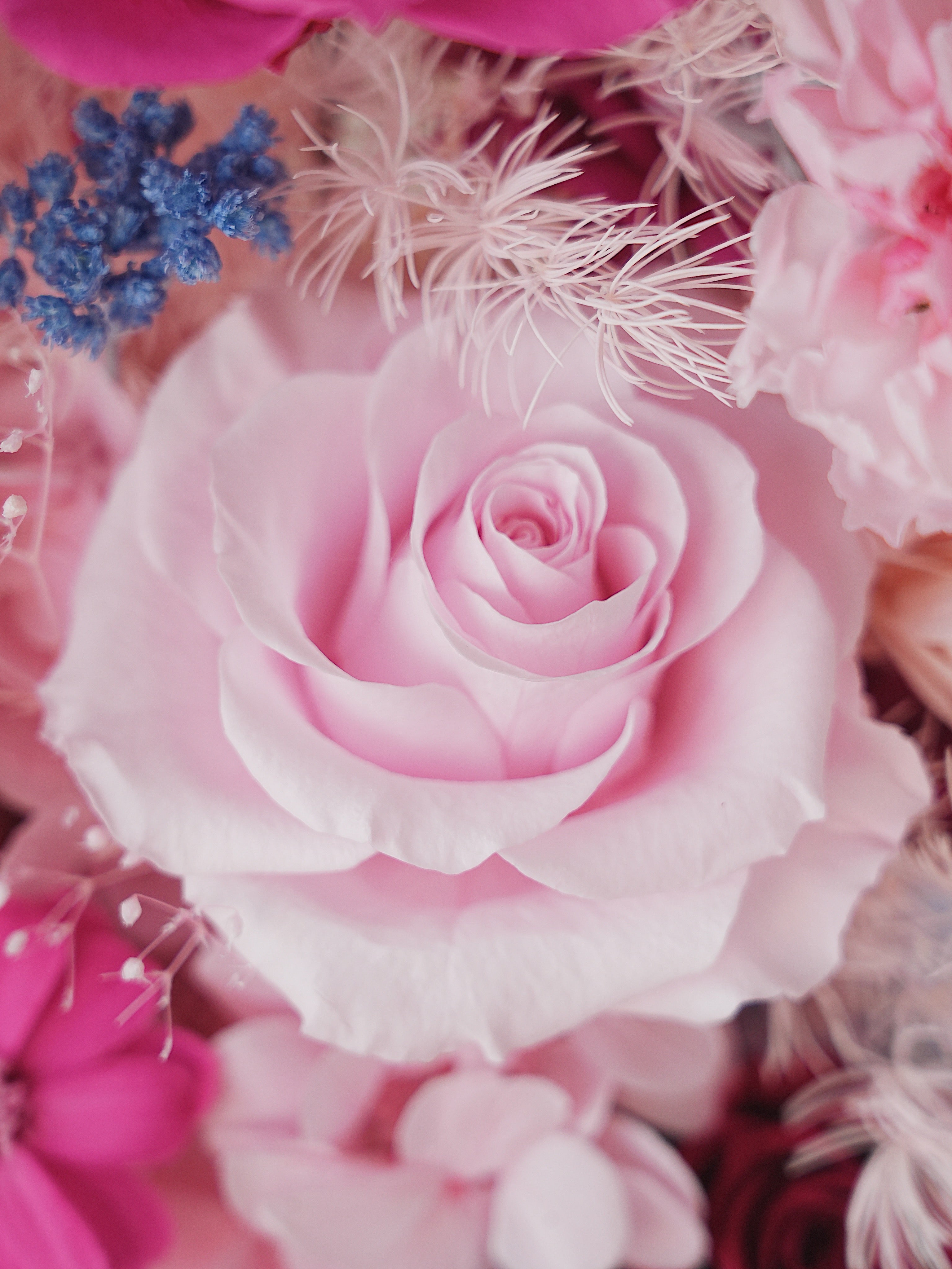 Signature JP200 — Miyabi Octagon Collection