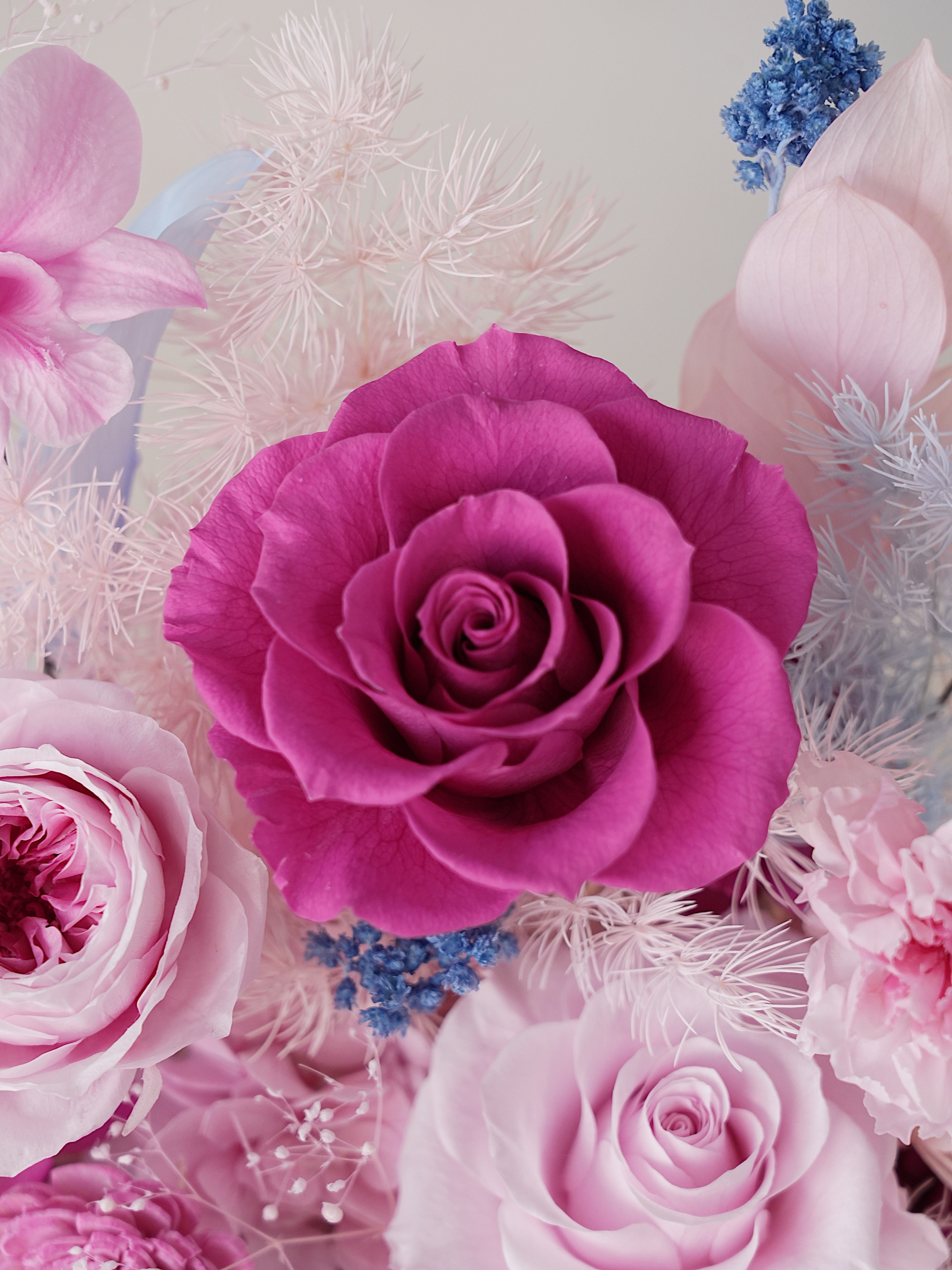 Signature JP200 — Miyabi Octagon Collection