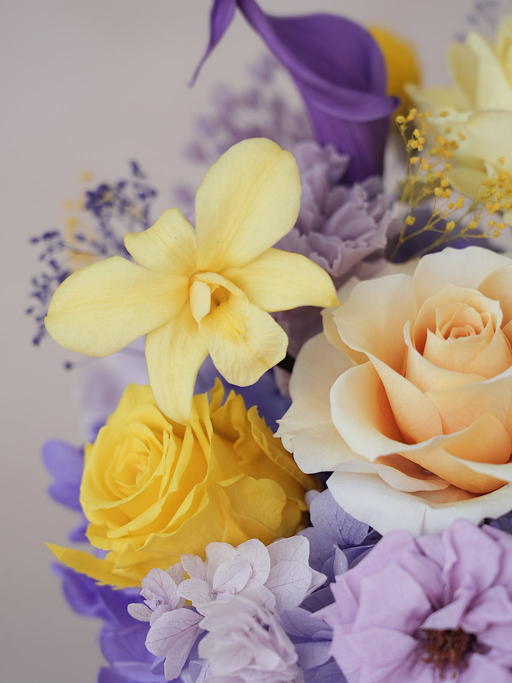 Signature JP100 — Sunlit Amethyst