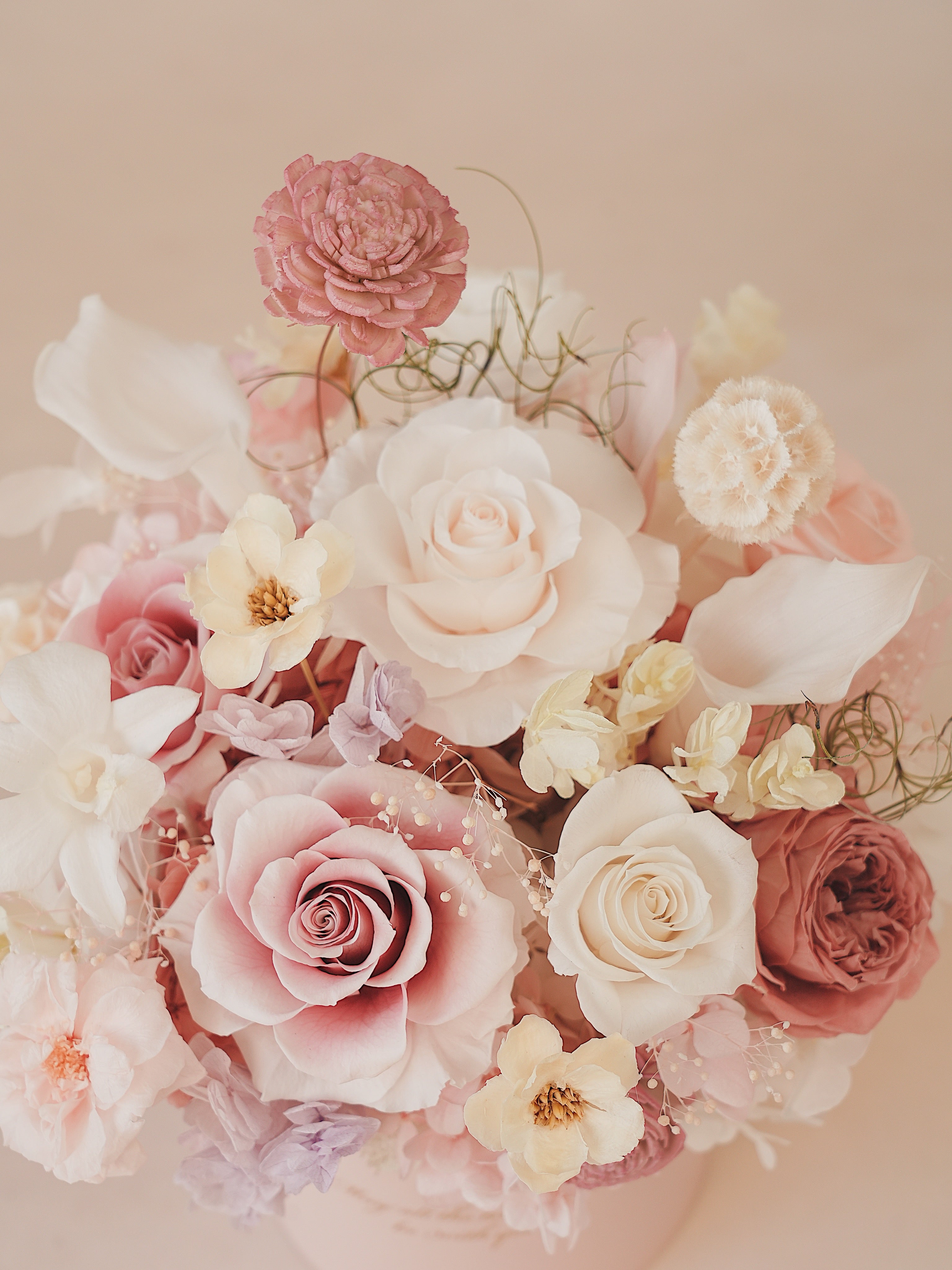 Signature JP100 — Whispered Blush