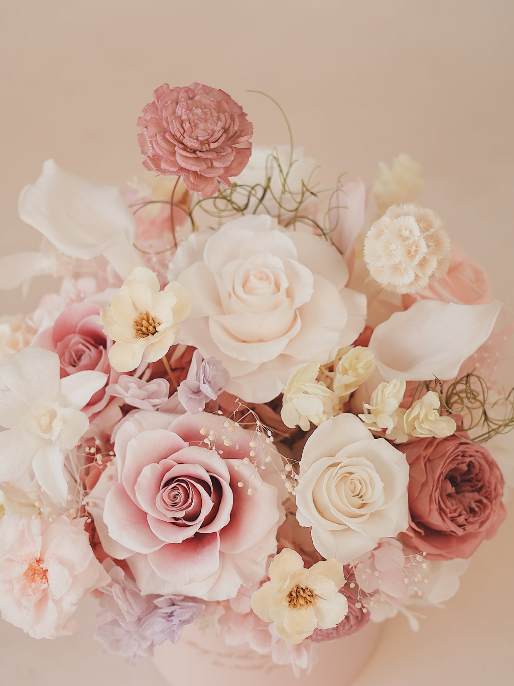 Signature JP100 — Miyabi Embrace Collection