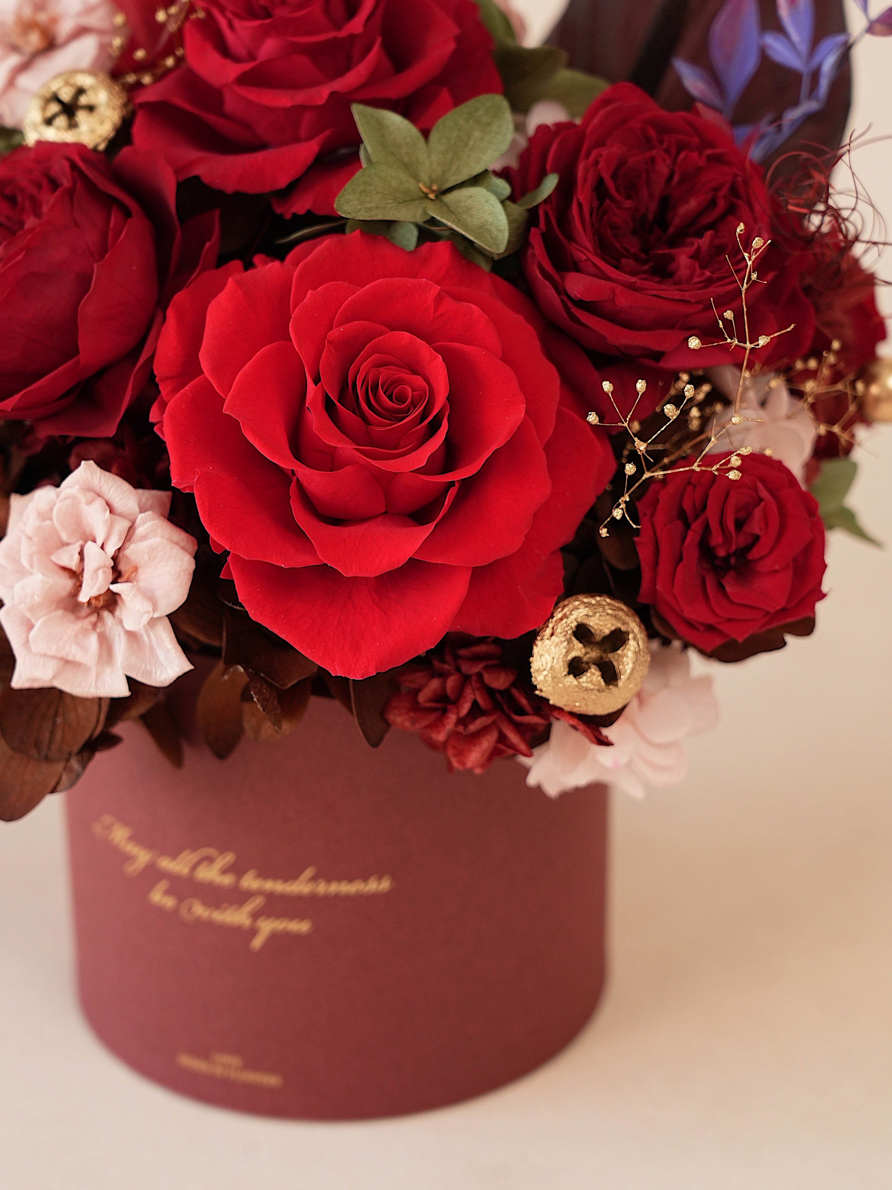 Signature JP100 — Miyabi Embrace Collection