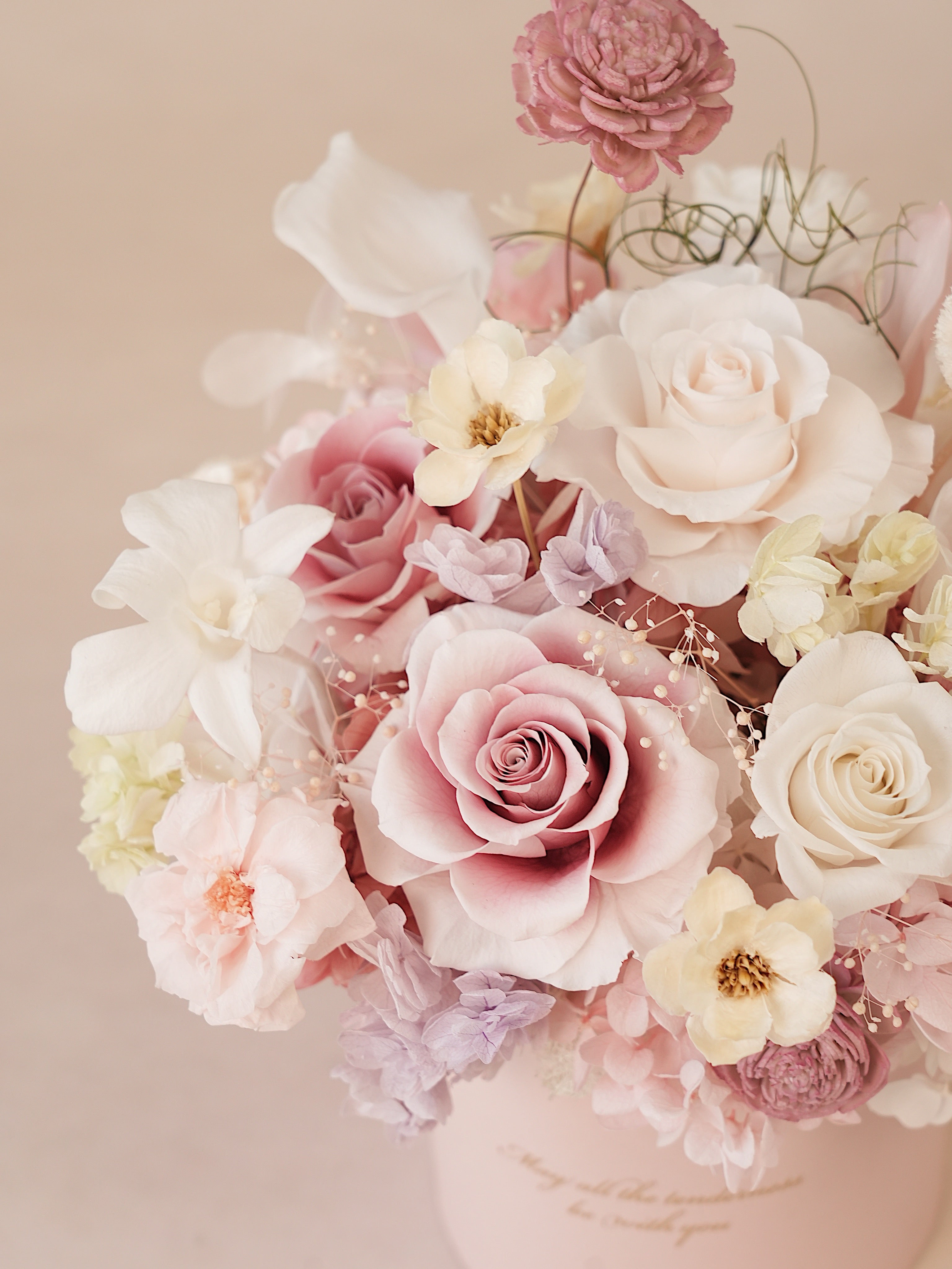 Signature JP100 — Miyabi Embrace Collection