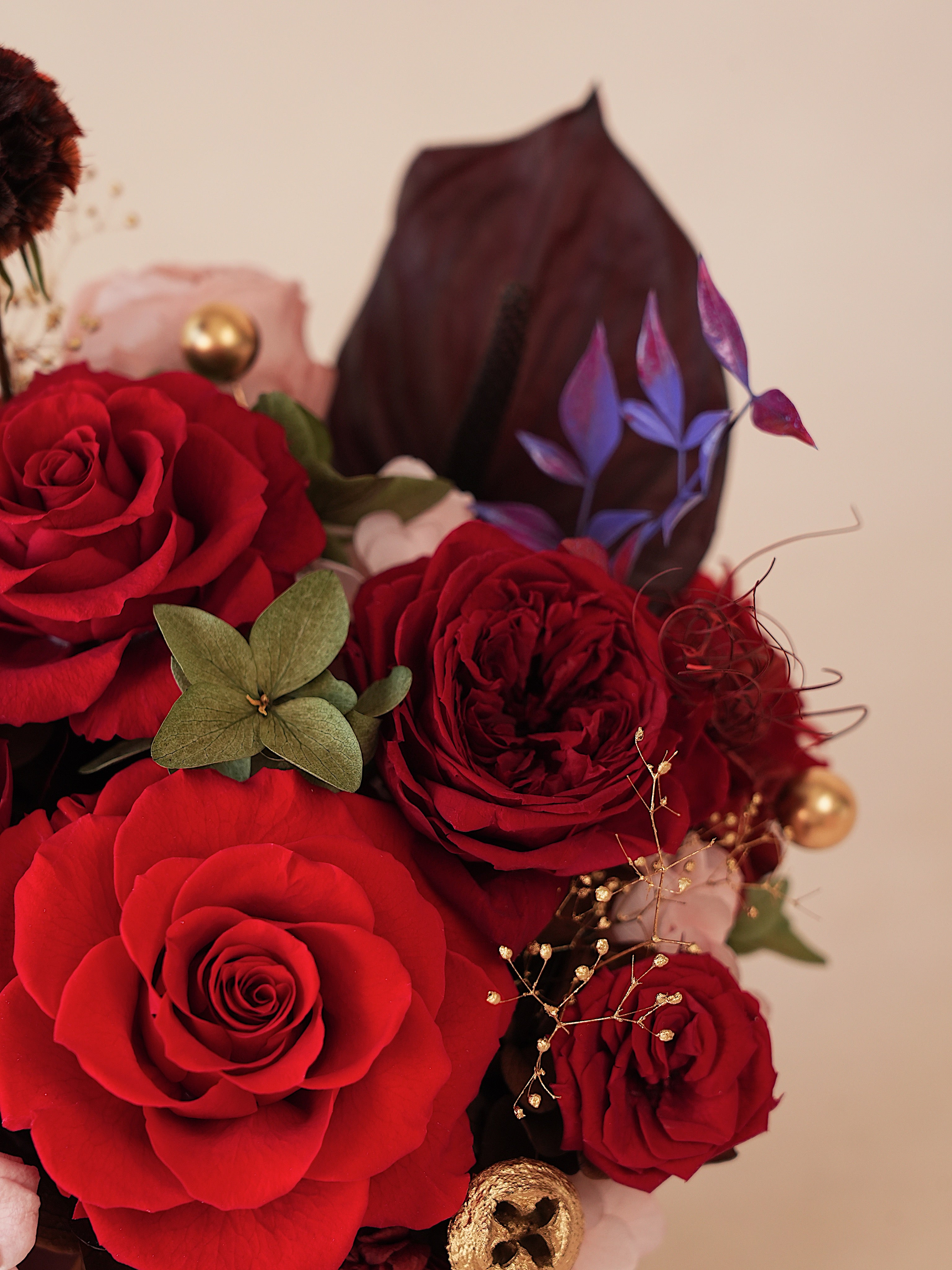 Signature JP100 — Miyabi Embrace Collection