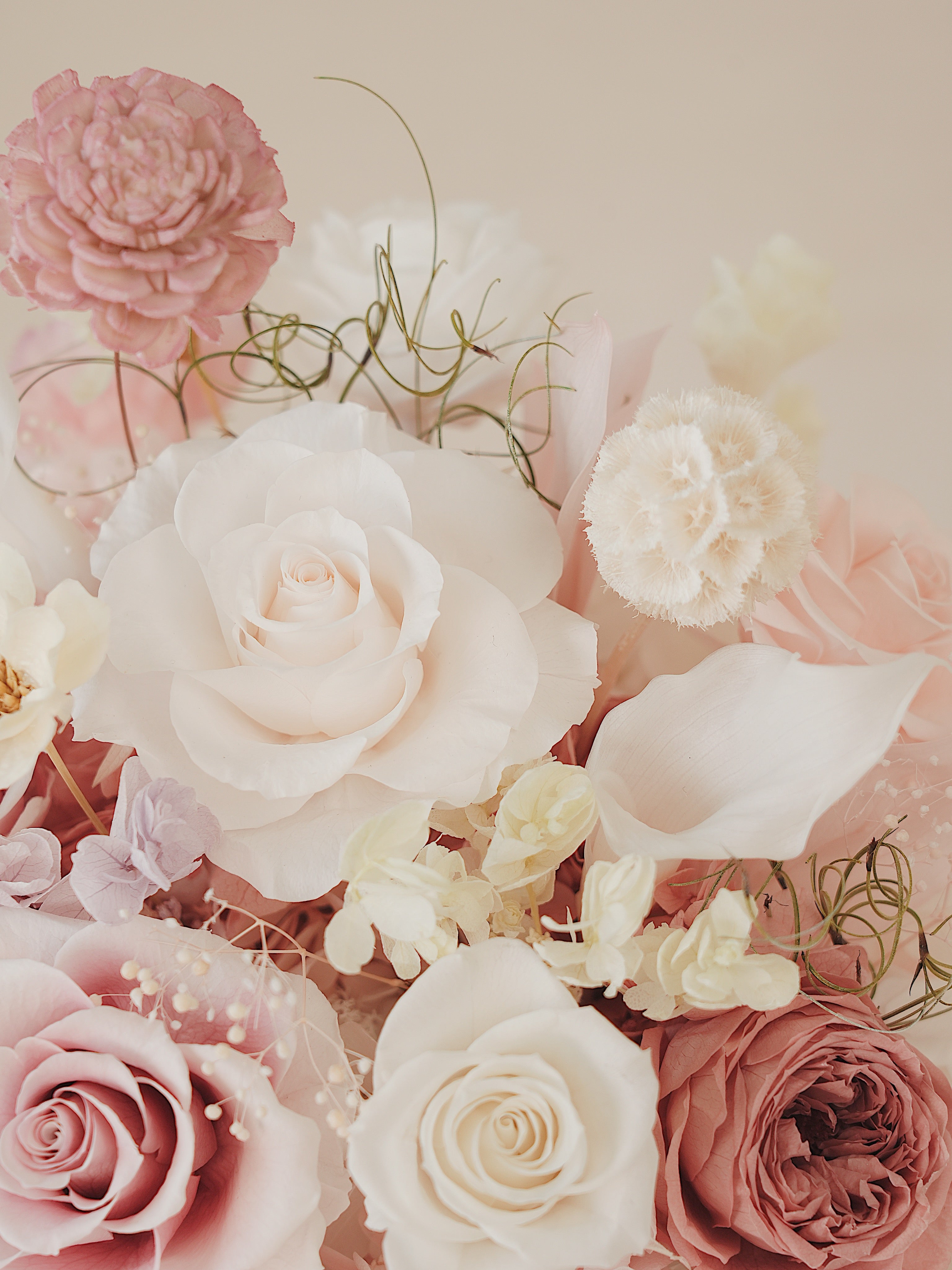 Signature JP100 — Whispered Blush