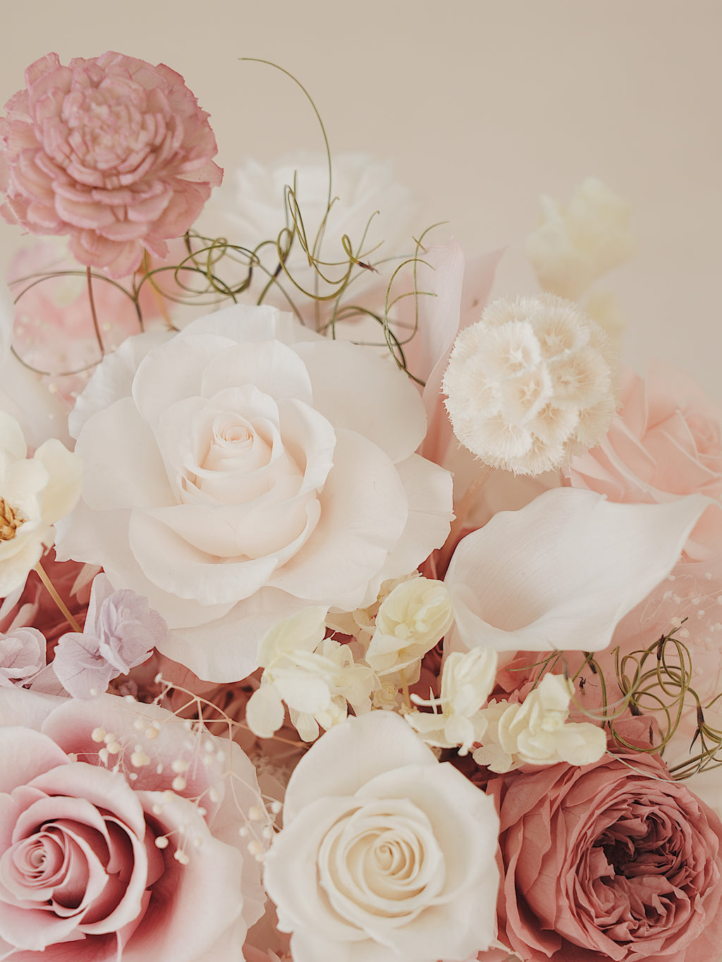 Signature JP100 — Miyabi Embrace Collection