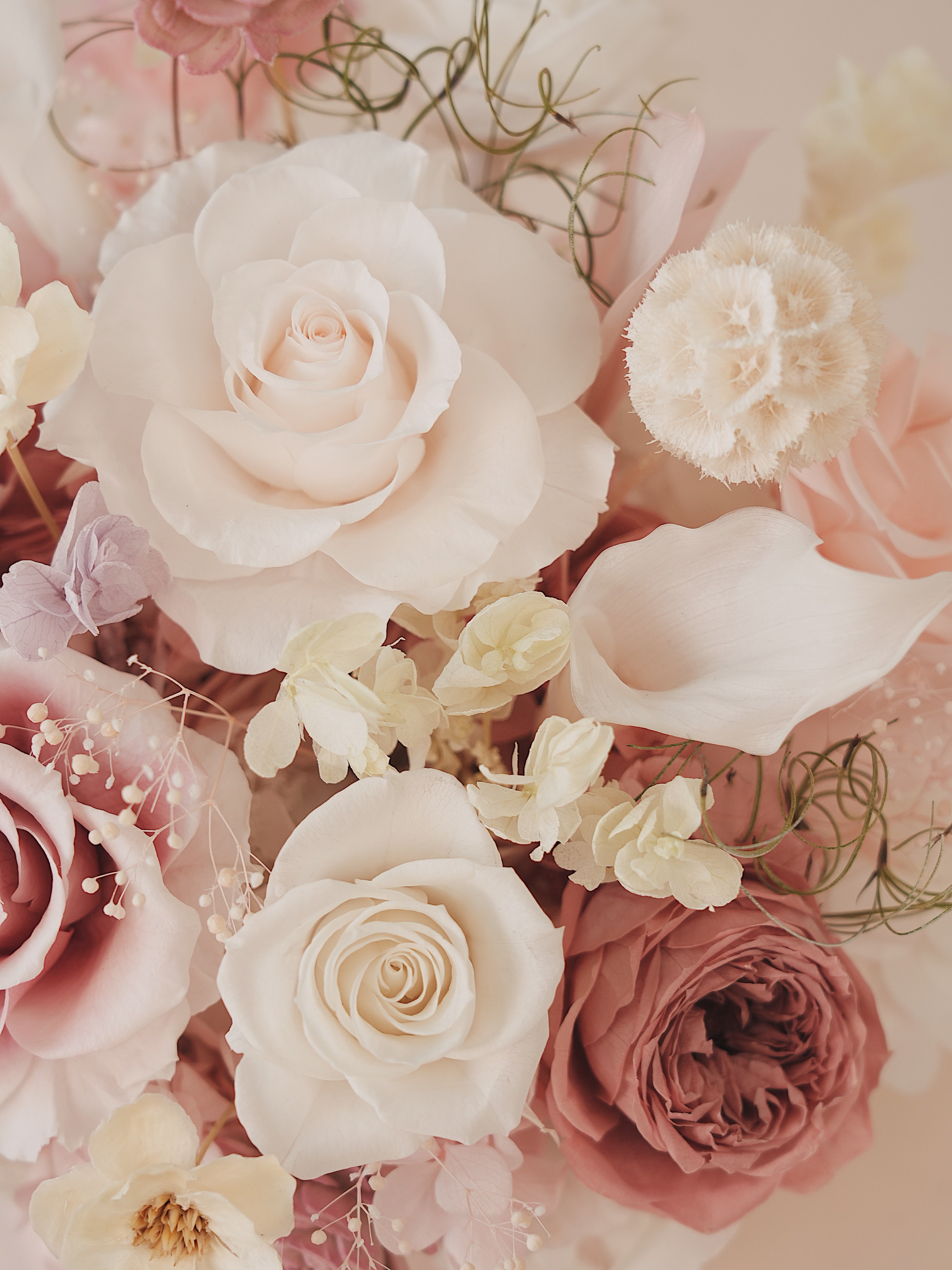 Signature JP100 — Whispered Blush