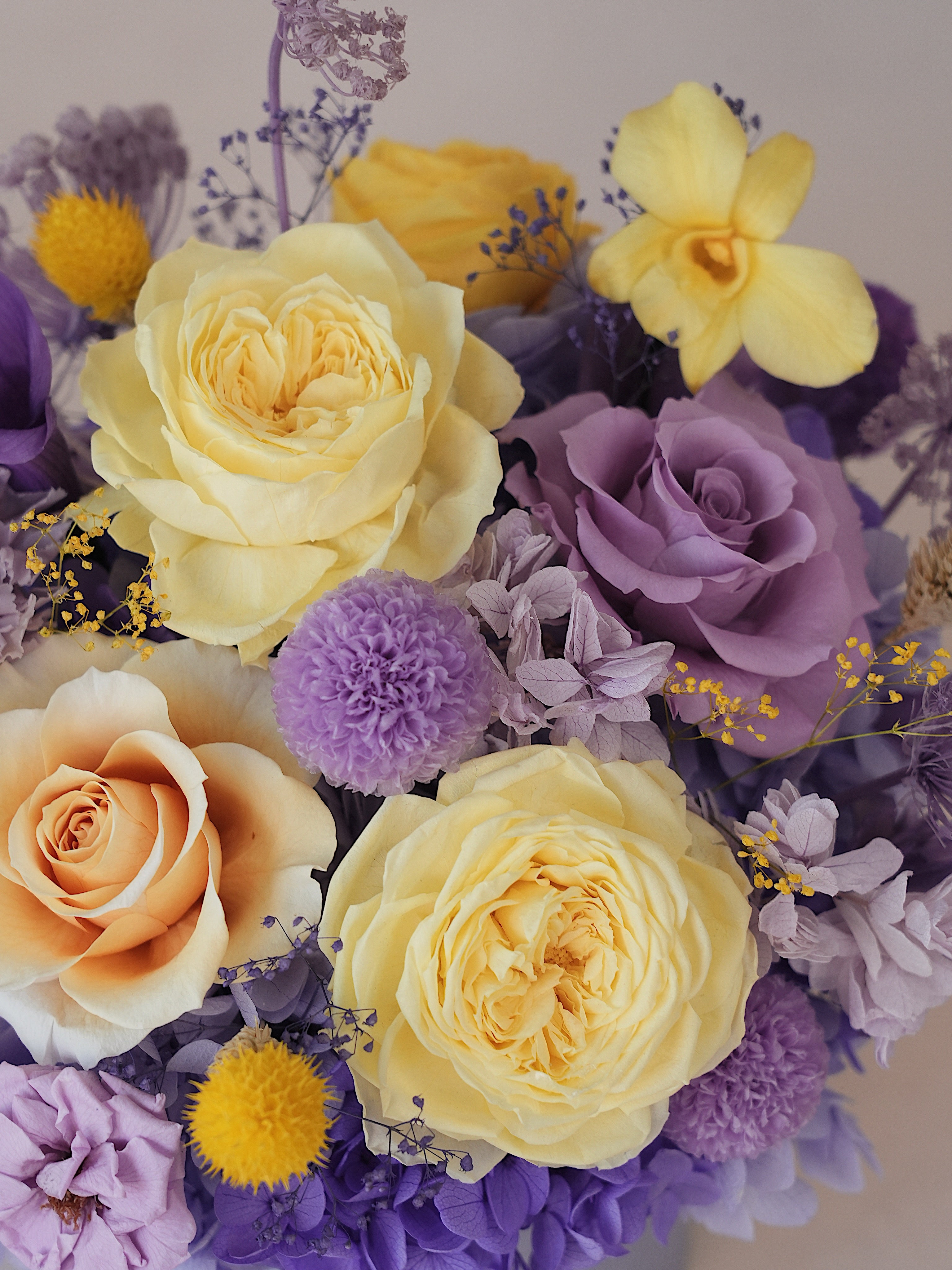 Signature JP100 — Sunlit Amethyst