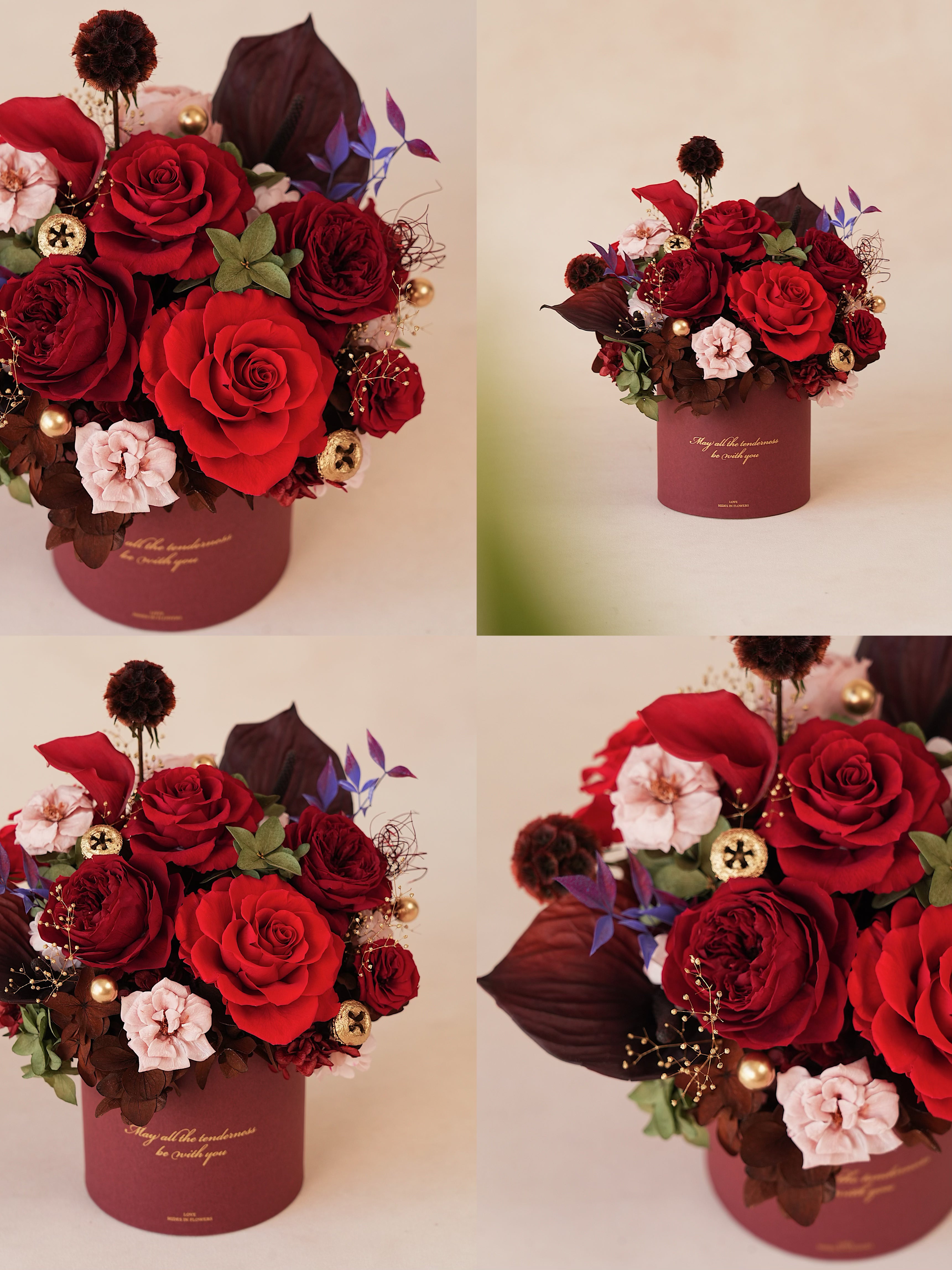 Signature JP100 — Miyabi Embrace Collection